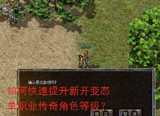 如何快速提升新开变态单职业传奇角色等级? 如何快速提升新开变态单职业传奇角色等级?