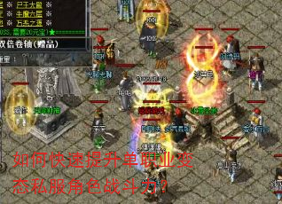 ��ο���������ְҵ��̬˽����ɫս������