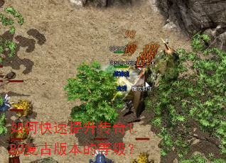 如何快速提升传奇1.80复古版本的等级? 如何快速提升传奇1.80复古版本的等级?