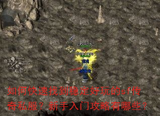 如何快速找到稳定好玩的sf传奇私服?新手入门攻略有哪些? 如何快速找到稳定好玩的sf传奇私服?新手入门攻略有哪些?