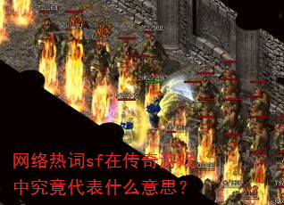 网络热词sf在传奇游戏中究竟代表什么意思? 网络热词sf在传奇游戏中究竟代表什么意思?