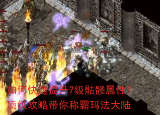 如何快速提升7级骷髅属性?顶级攻略带你称霸玛法大陆 如何快速提升7级骷髅属性?顶级攻略带你称霸玛法大陆