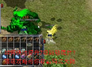 如何快速提升7级骷髅属性?顶级攻略带你称霸玛法大陆 如何快速提升7级骷髅属性?顶级攻略带你称霸玛法大陆