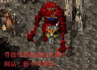 寻找传奇私服该去哪个网站?新手求推荐。 寻找传奇私服该去哪个网站?新手求推荐。