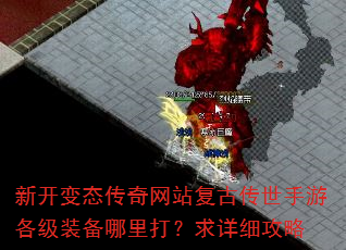 �¿���̬������վ���Ŵ������θ���װ�����������ϸ����