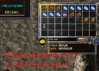 想知道传奇私服排行榜前十名中哪个职业升级最快? 想知道传奇私服排行榜前十名中哪个职业升级最快?