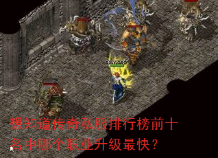 想知道传奇私服排行榜前十名中哪个职业升级最快? 想知道传奇私服排行榜前十名中哪个职业升级最快?