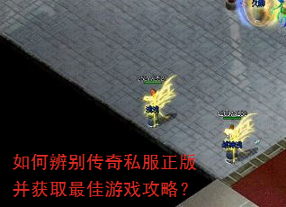 ��α����˽�����沢��ȡ�����Ϸ���ԣ�