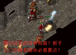 �������Ĵ���˽�����������Ź�������Щ�ؿ�Ҫ�㣿
