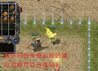 �л��ɰ洫��˽������Ϸ���Կ��Է�����