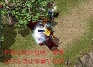 传奇法师升级快?掌握这些方法让你事半功倍 传奇法师升级快?掌握这些方法让你事半功倍