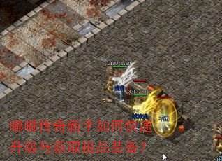 嘟嘟传奇新手如何快速升级与获取极品装备? 嘟嘟传奇新手如何快速升级与获取极品装备?
