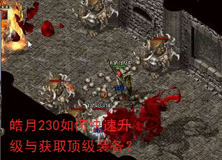 皓月230如何快速升级与获取顶级装备? 皓月230如何快速升级与获取顶级装备?