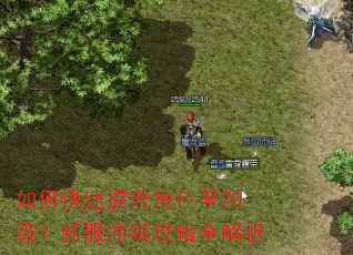 如何快速提升角色至70级?新服冲级攻略全解析 如何快速提升角色至70级?新服冲级攻略全解析
