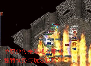 ��ְҵ������Ϸ����Щ�����������淨���ɣ�