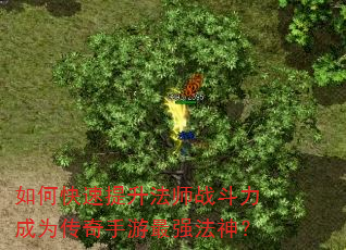 如何快速提升法师战斗力成为传奇手游最强法神? 如何快速提升法师战斗力成为传奇手游最强法神?