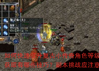 如何快速提升复古小传奇角色等级?装备获取有哪些技巧?副本挑战应注意什么? 如何快速提升复古小传奇角色等级?装备获取有哪些技巧?副本挑战应注意什么?