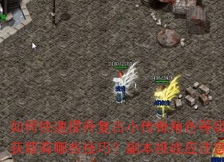 如何快速提升复古小传奇角色等级?装备获取有哪些技巧?副本挑战应注意什么? 如何快速提升复古小传奇角色等级?装备获取有哪些技巧?副本挑战应注意什么?