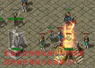 黑金论坛传奇私服中如何快速提升角色等级与装备战力? 黑金论坛传奇私服中如何快速提升角色等级与装备战力?