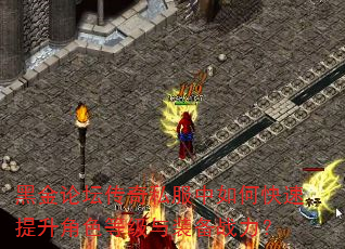 黑金论坛传奇私服中如何快速提升角色等级与装备战力? 黑金论坛传奇私服中如何快速提升角色等级与装备战力?
