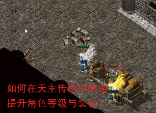 如何在天主传奇中快速提升角色等级与装备? 如何在天主传奇中快速提升角色等级与装备?