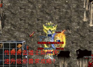 传奇合击道士如何快速升级邪兽求攻略? 传奇合击道士如何快速升级邪兽求攻略?