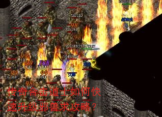 传奇合击道士如何快速升级邪兽求攻略? 传奇合击道士如何快速升级邪兽求攻略?