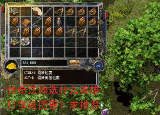 传奇法师选什么英雄打宝最厉害?求推荐 传奇法师选什么英雄打宝最厉害?求推荐