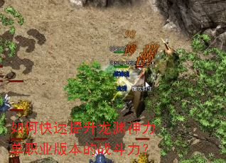 如何快速提升龙渊神力单职业版本的战斗力? 如何快速提升龙渊神力单职业版本的战斗力?