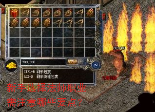 新手选择法师职业需注意哪些要点? 新手选择法师职业需注意哪些要点?