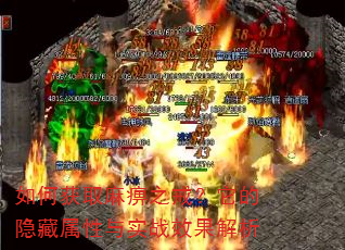 如何获取麻痹之戒?它的隐藏属性与实战效果解析 如何获取麻痹之戒?它的隐藏属性与实战效果解析
